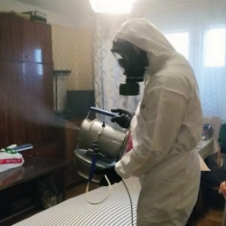 Дезинфекция от клопов в Набережных Челнах